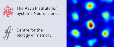 Kavli Institute for Systems Neuroscience